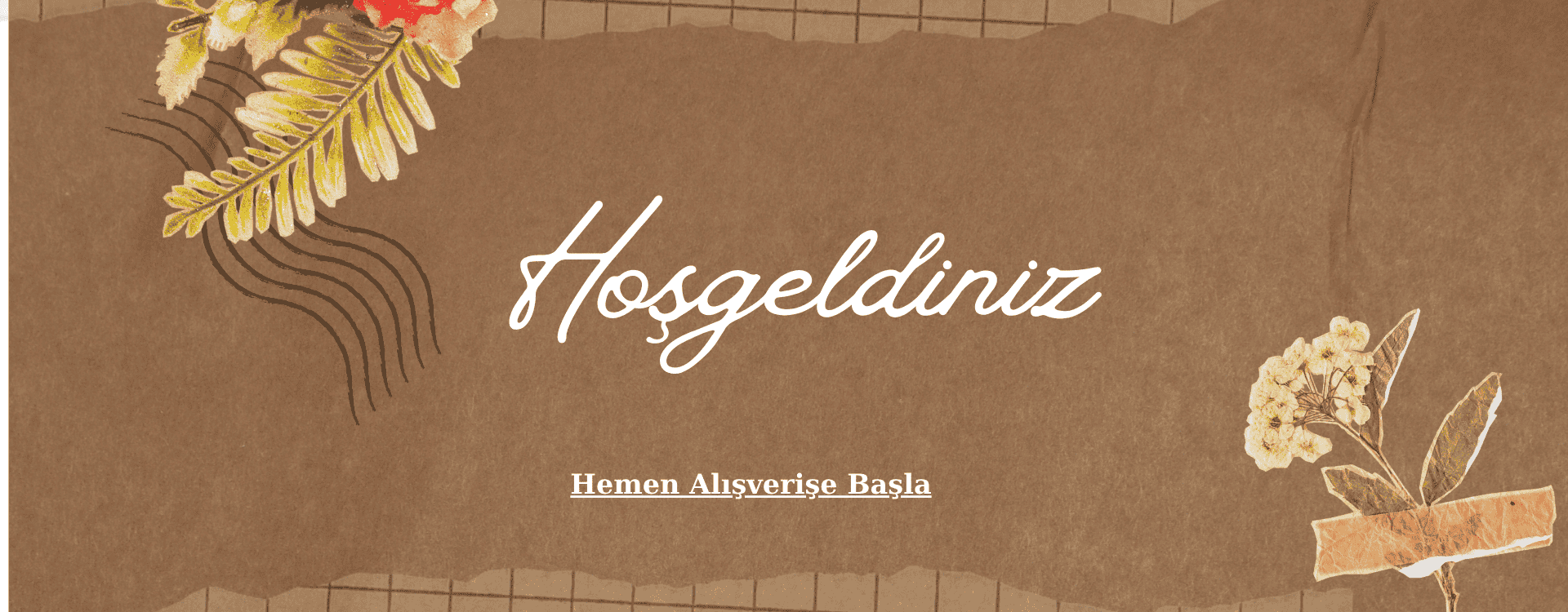 Hoşgeldiniz